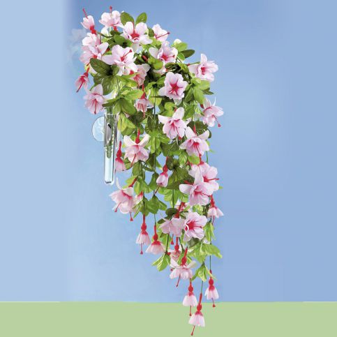 Závěsná květina Fuchsia - Velký Košík