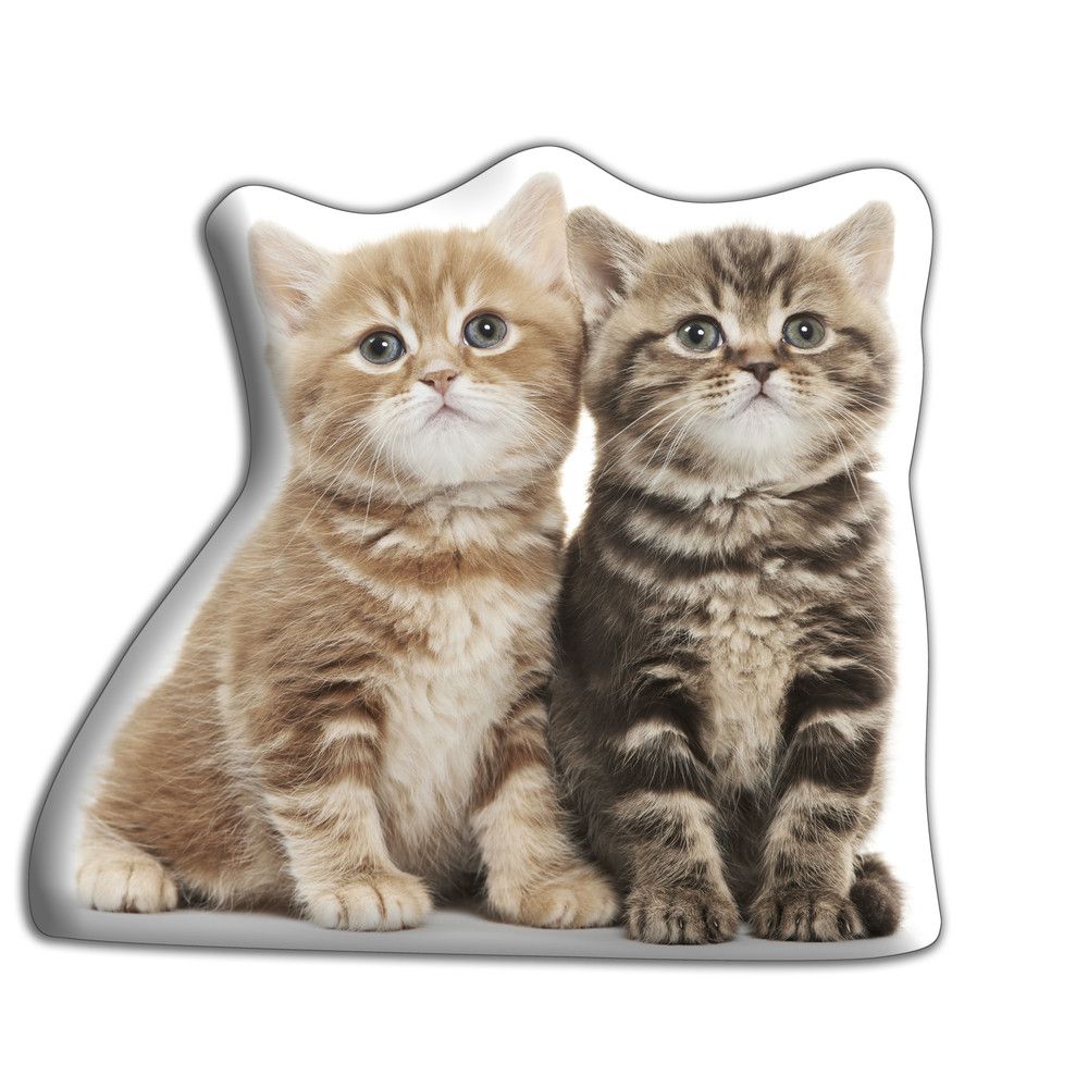 Polštářek s potiskem dvou koťat Adorable Cushions - Bonami.cz