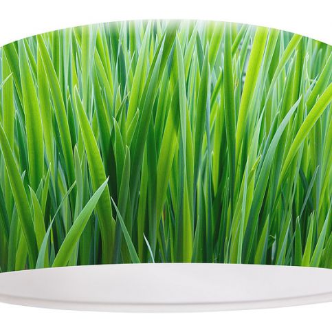 Svítidlo Grass závěsné - Homedesign-shop.com