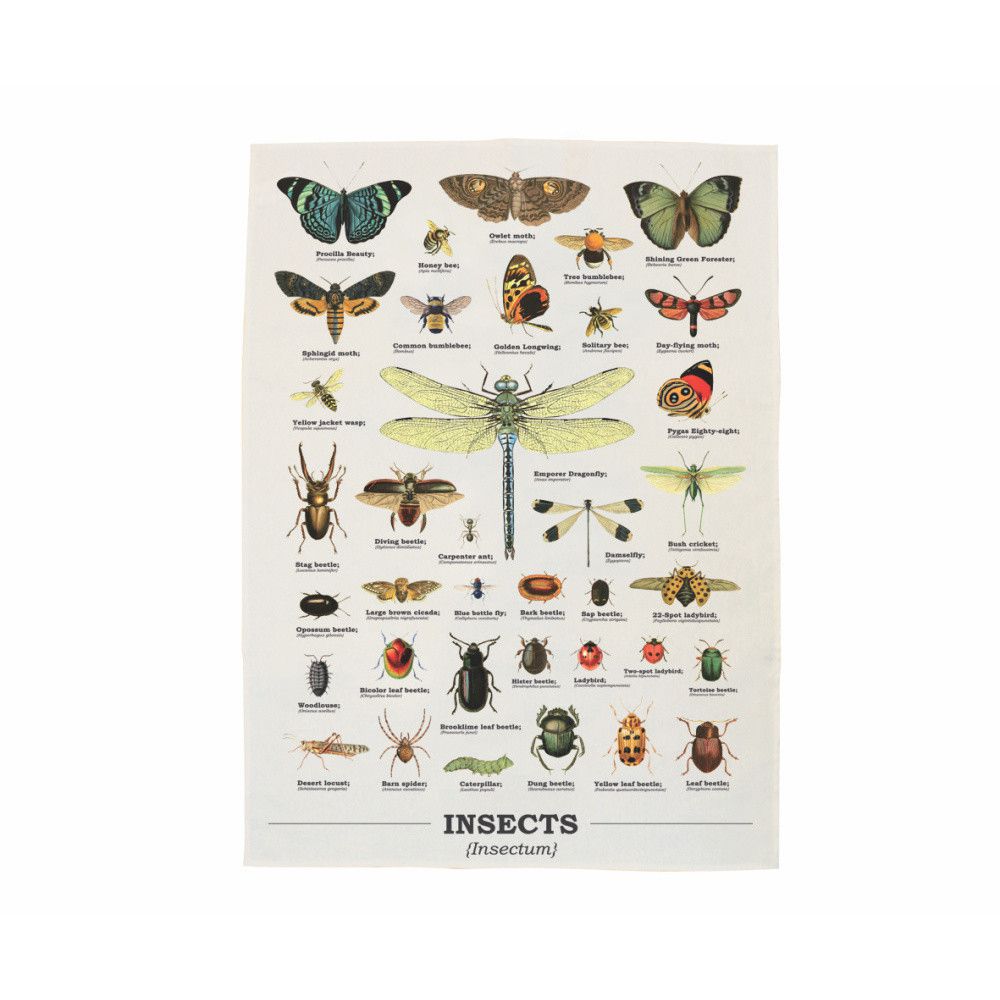 Utěrka z bavlny Gift Republic Insects, 50 x 70 cm - Bonami.cz