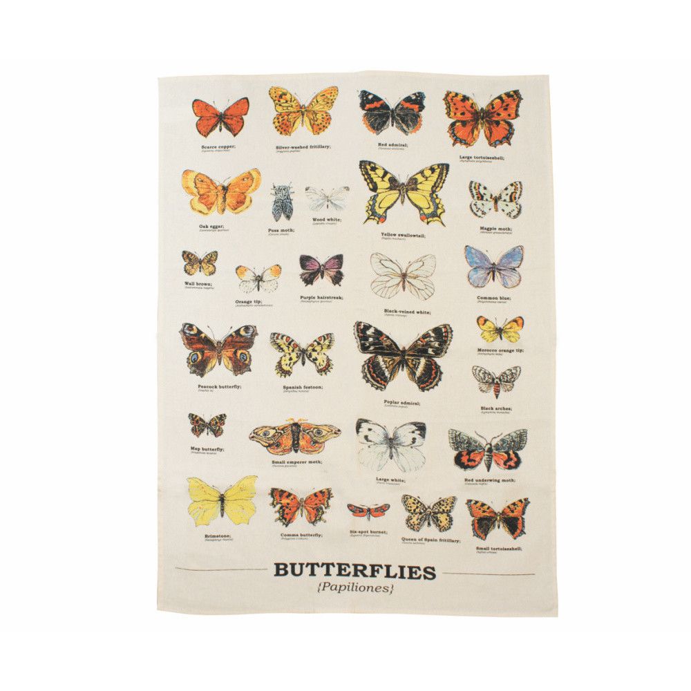 Utěrka z bavlny Gift Republic Multi Butterflies, 50 x 70 cm - Bonami.cz