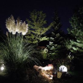 Dekorativní osvětlení rostlin v zahradě