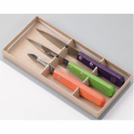 Sada 2 nožů a škrabky z nerezové oceli na loupání v dárkovém balení Jean Dubost Vegetable