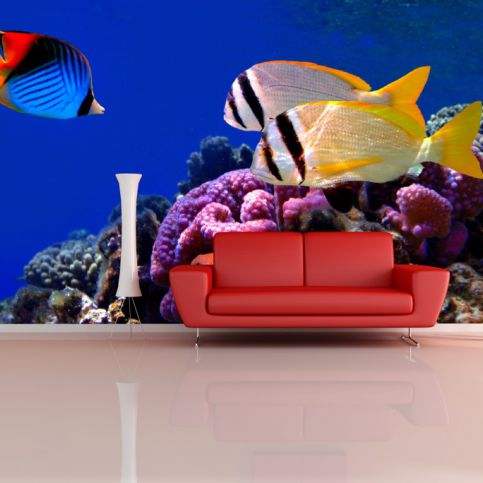 Tapeta - Mořské rybky 2 (120x80 cm) - PopyDesign - Popydesign