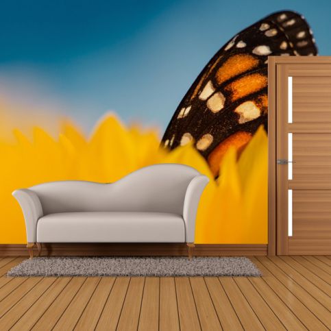 Tapeta - Motýl v květu (120x80 cm) - PopyDesign - Popydesign