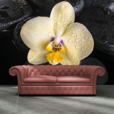 Tapeta - Žlutá orchidej (120x120 cm) - PopyDesign - Popydesign