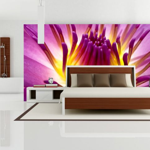Tapeta - Detail květu (120x90 cm) - PopyDesign - Popydesign