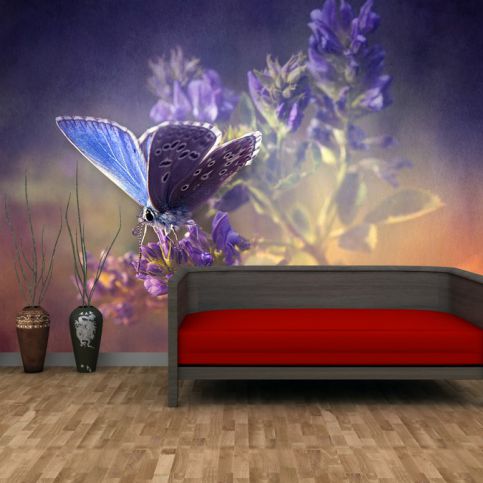 Tapeta - Fialový motýl (120x96 cm) - PopyDesign - Popydesign