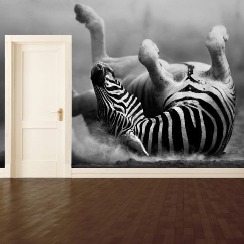 Tapeta - Zebra na zádech (120x80 cm) - PopyDesign - Popydesign