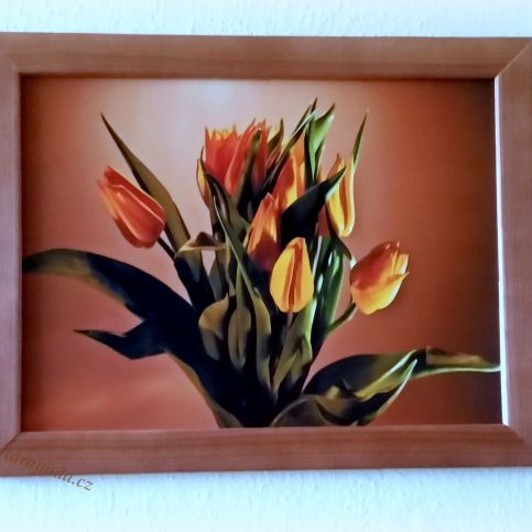 Obraz Svazek tulipánů 27x21 cm s rámem - Stará půda