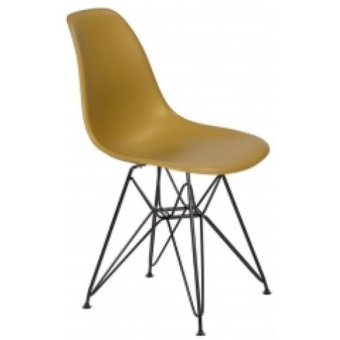 Židle DSR, ginger (RAL 9005)  - Designovynabytek.cz