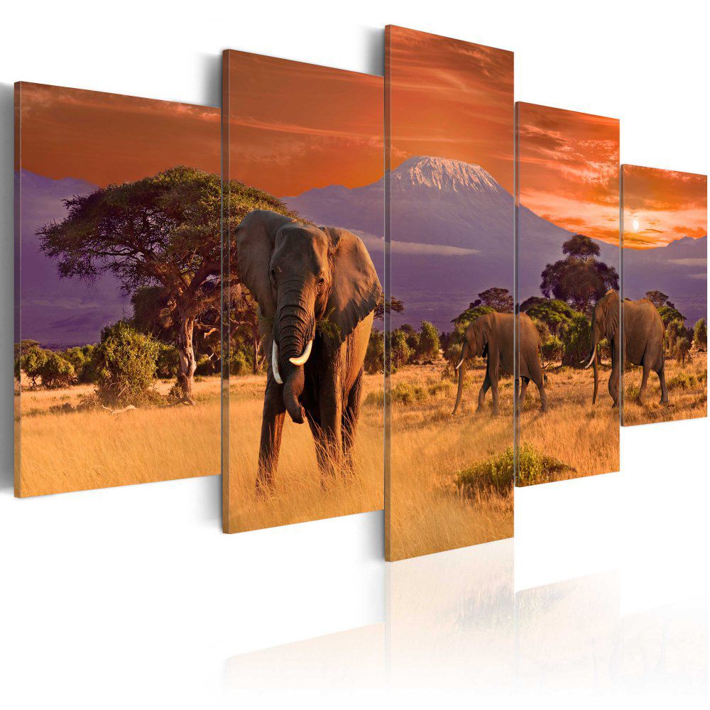 Obraz na plátně Bimago - Africa: Elephants 100x50 cm - GLIX DECO s.r.o.