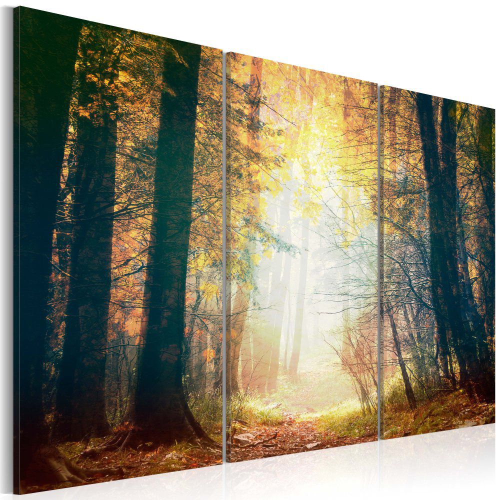 Obraz na plátně Bimago - Beauty of autumn - třídílný 60x40 cm - GLIX DECO s.r.o.