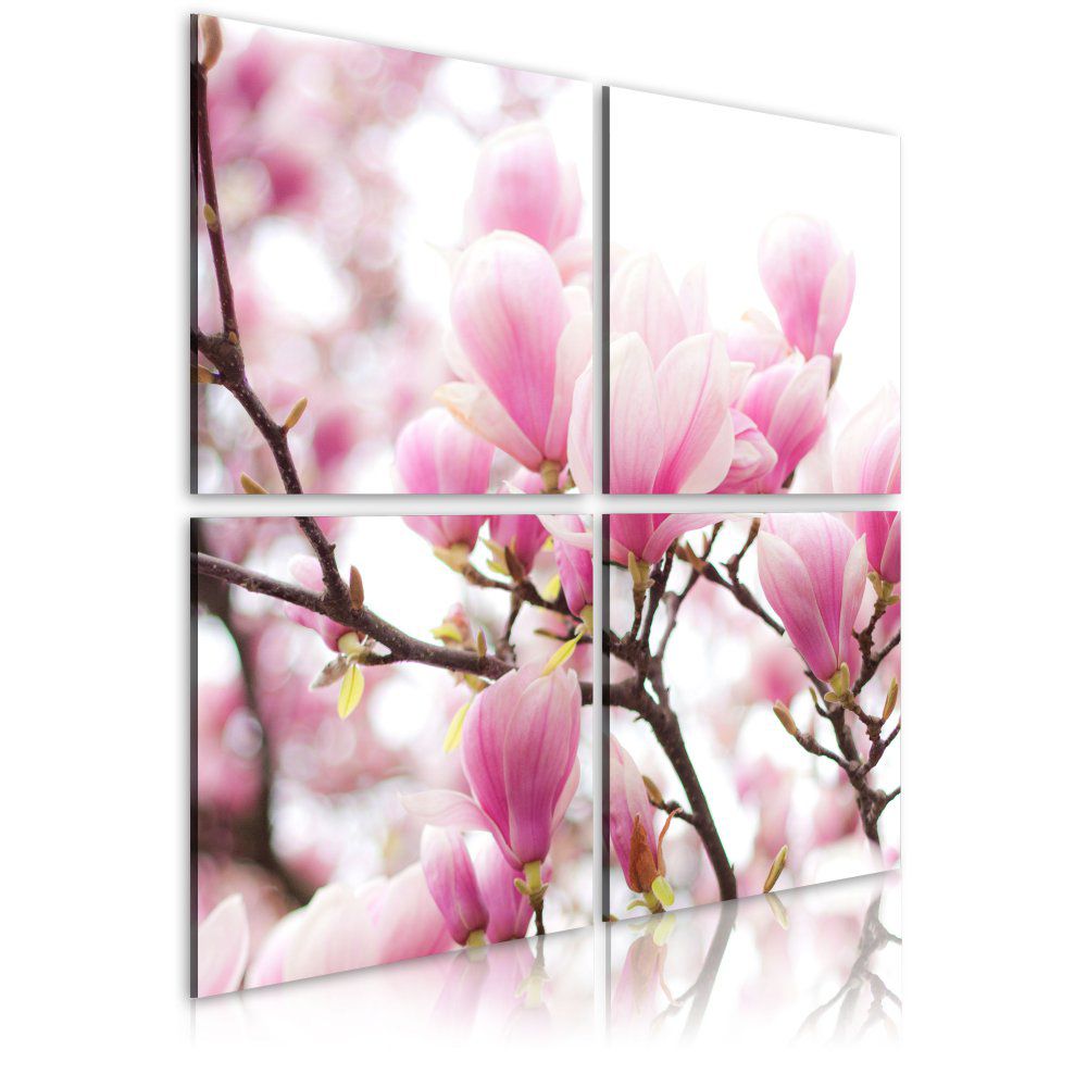 Obraz na plátně Bimago - Blooming magnolia tree 40x40 cm - GLIX DECO s.r.o.