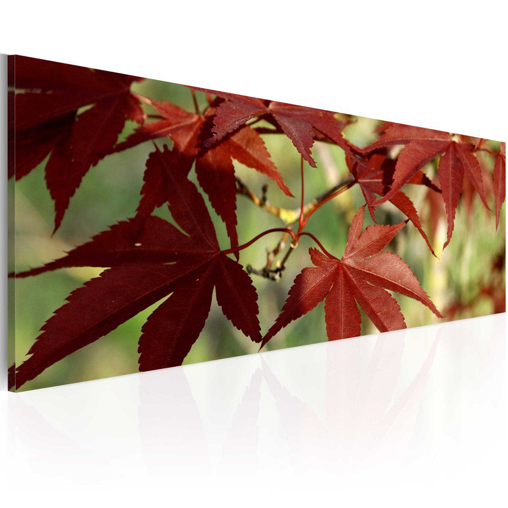 Obraz na plátně Bimago - Color of autumn 120x40 cm - GLIX DECO s.r.o.