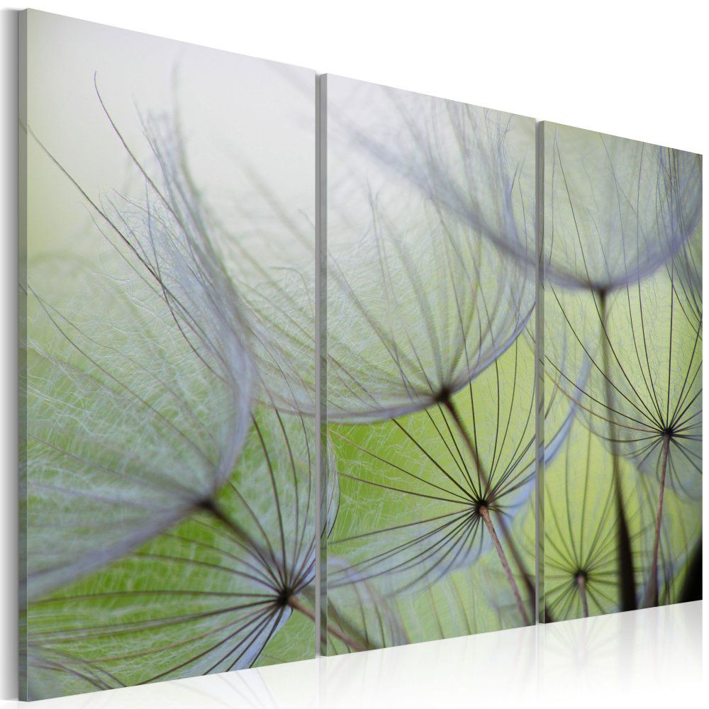 Obraz na plátně Bimago - Dandelions on the meadow 60x40 cm - GLIX DECO s.r.o.