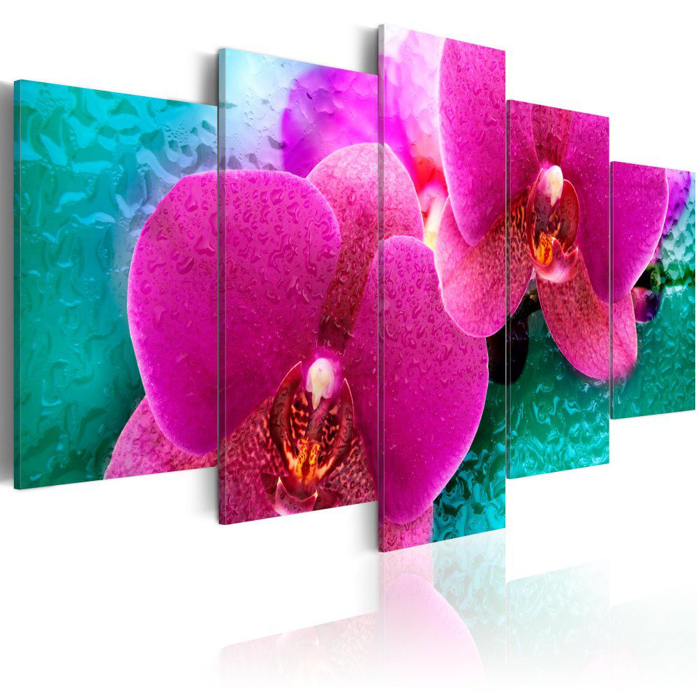 Obraz na plátně Bimago - Exotic orchids 100x50 cm - GLIX DECO s.r.o.