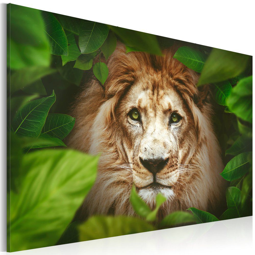 Obraz na plátně Bimago - Eyes of the jungle 60x40 cm - GLIX DECO s.r.o.