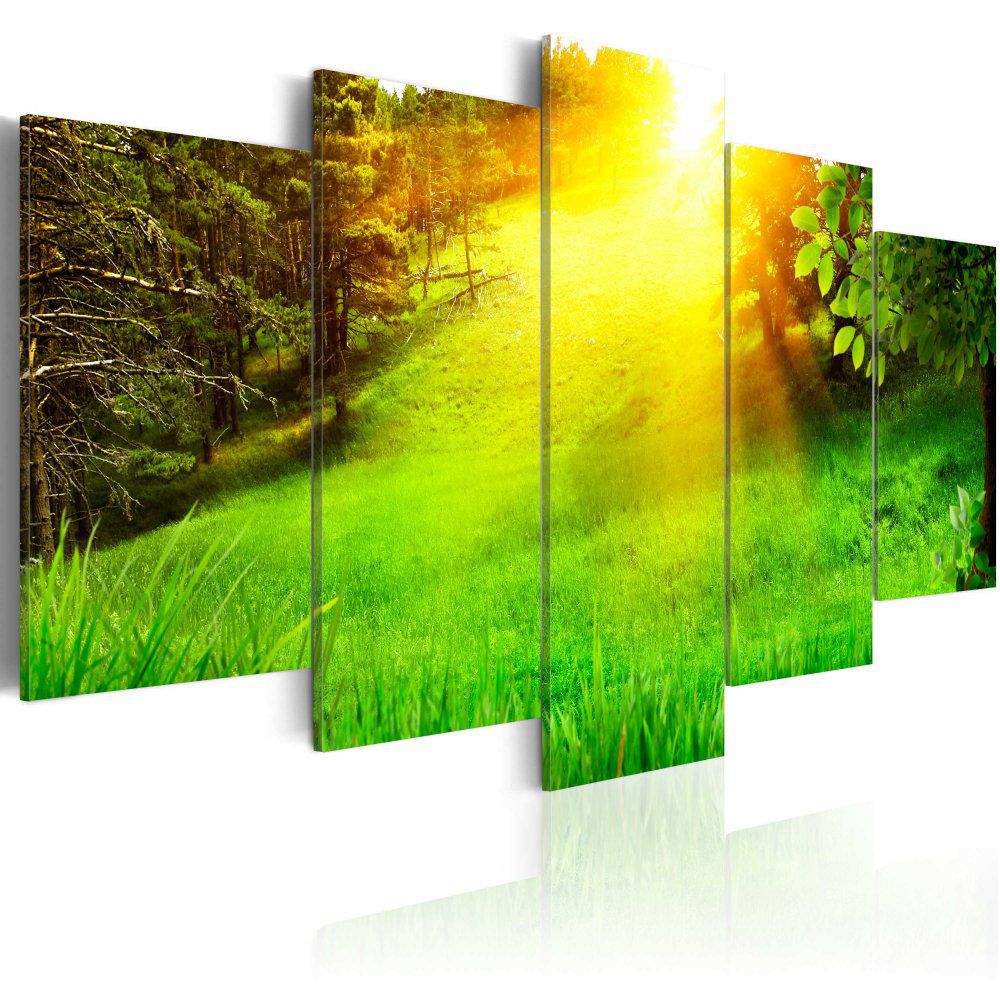 Obraz na plátně Bimago - Forest and sun 100x50 cm - GLIX DECO s.r.o.