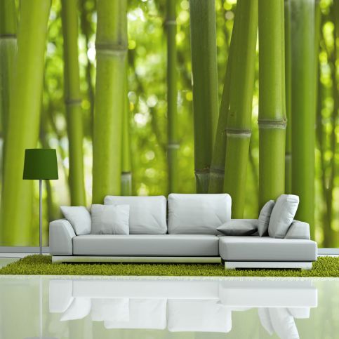 Fototapeta - bambus - zelený 200x154 cm - GLIX DECO s.r.o.