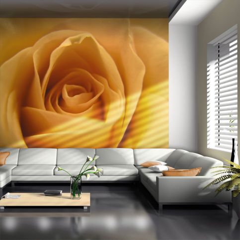 Fototapeta - Yellow rose – a symbol of friendship 200x154 cm - GLIX DECO s.r.o.