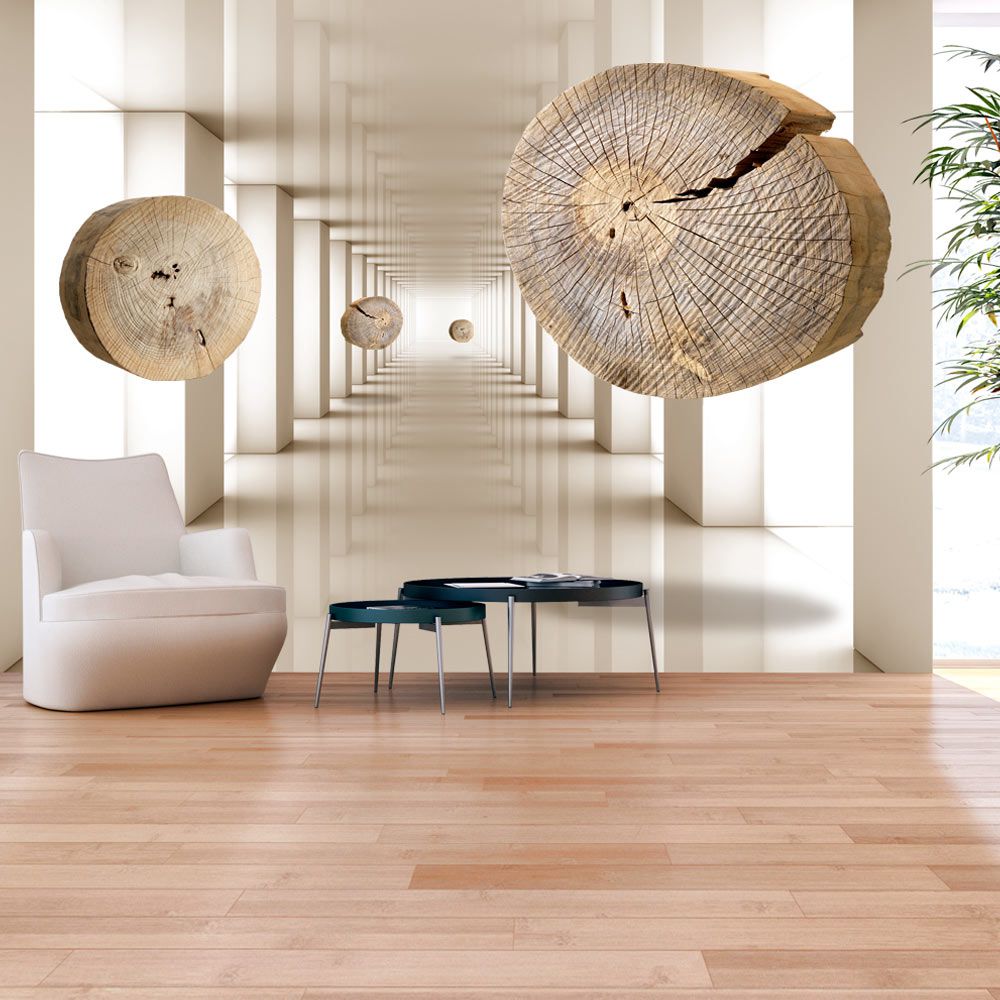 Fototapeta Bimago - Flying Discs of Wood + lepidlo zdarma 300x210 cm - GLIX DECO s.r.o.