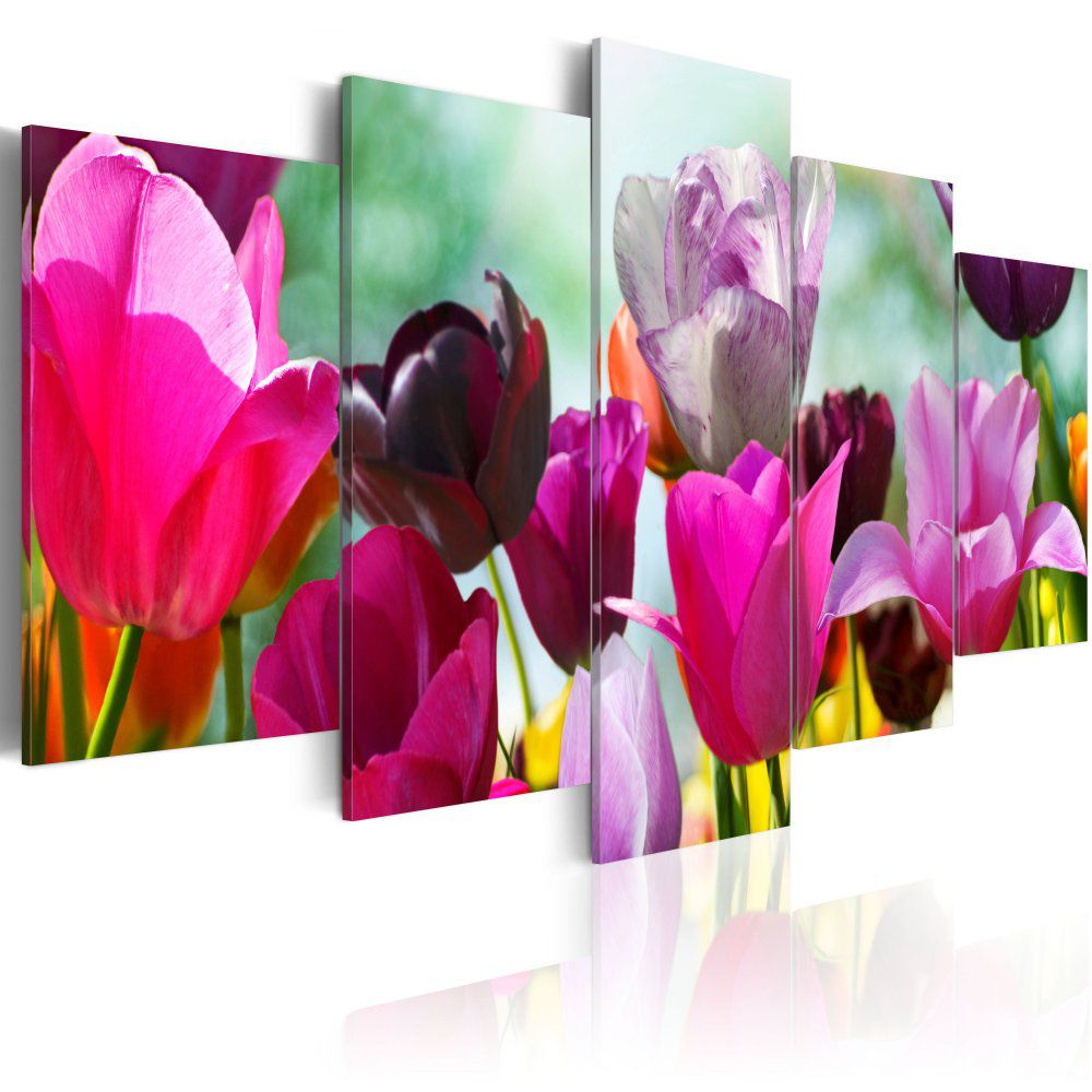 Obraz na plátně Bimago - Louka růžových tulipánů 100x50 cm - GLIX DECO s.r.o.