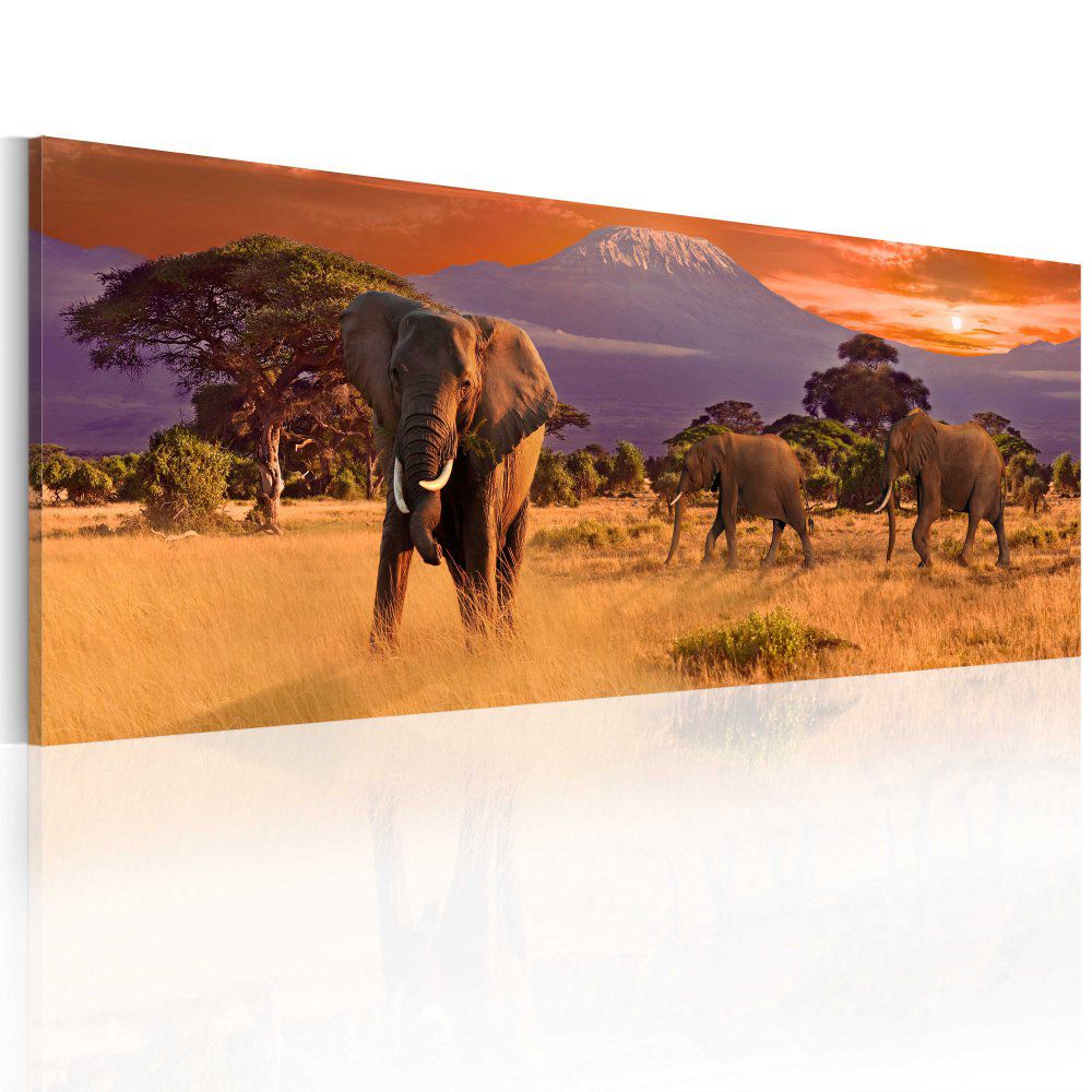 Obraz na plátně Bimago - March of african elephants 120x40 cm, - GLIX DECO s.r.o.