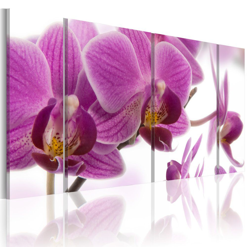 Obraz na plátně Bimago - Marvelous orchid 60x30 - GLIX DECO s.r.o.