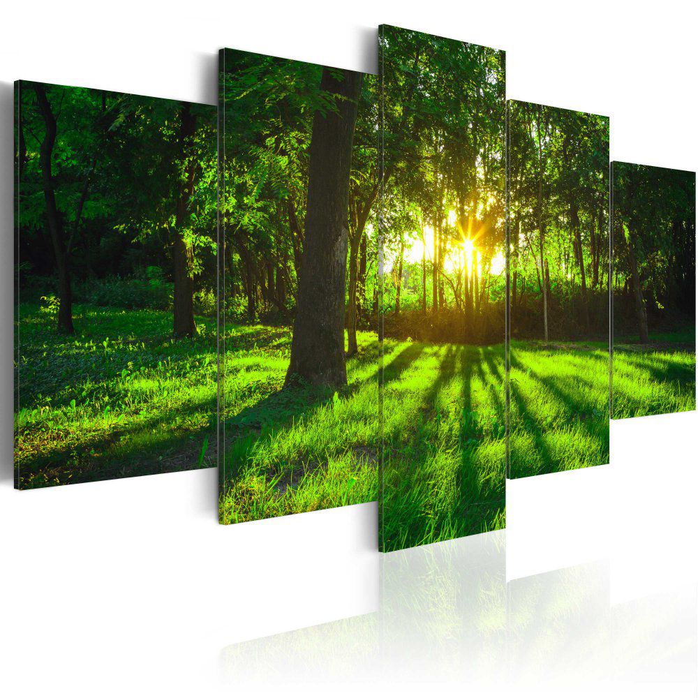 Obraz na plátně Bimago - Morning in the forest 100x50 cm - GLIX DECO s.r.o.
