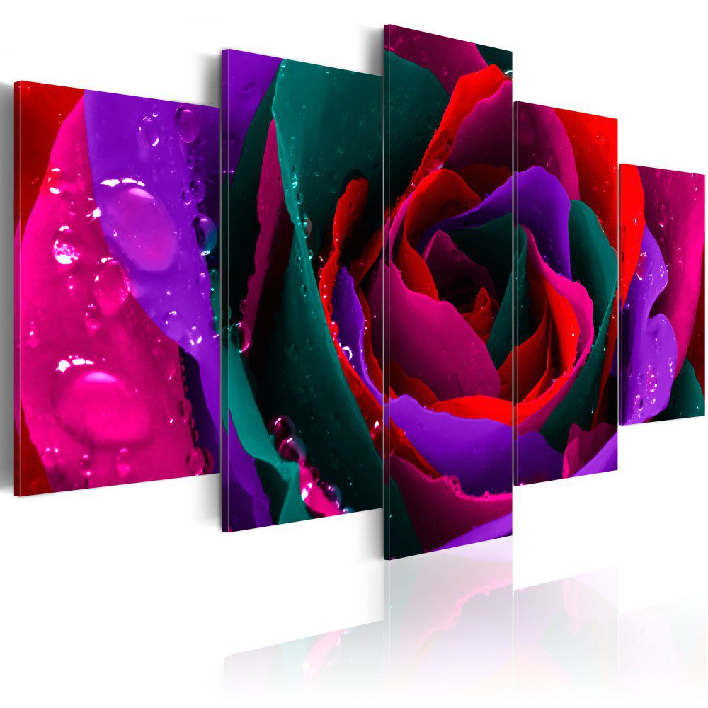 Obraz na plátně Bimago - Multicoloured rose 100x50 cm - GLIX DECO s.r.o.