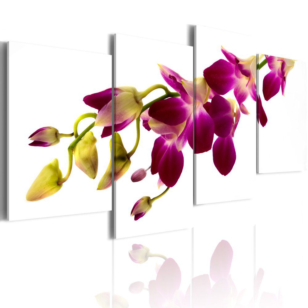 Obraz na plátně Bimago - Orchid\'s glow 80x45 - GLIX DECO s.r.o.