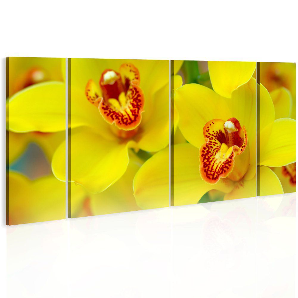 Obraz na plátně Bimago - Orchids - intensity of yellow color 60x30 - GLIX DECO s.r.o.