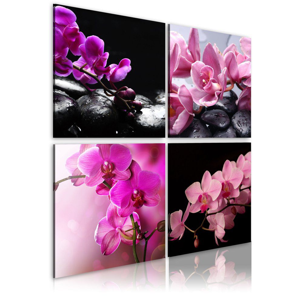 Obraz na plátně Bimago - Orchids more beautiful than ever 40x40 cm - GLIX DECO s.r.o.