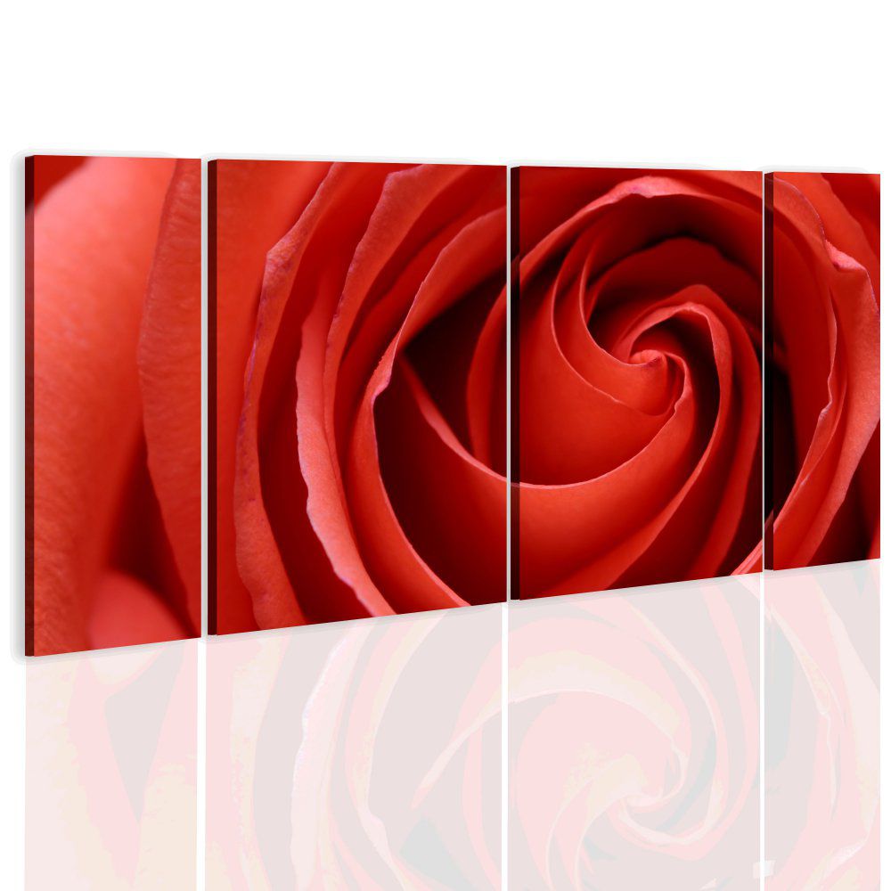 Obraz na plátně Bimago - Passionate rose 60x30 - GLIX DECO s.r.o.