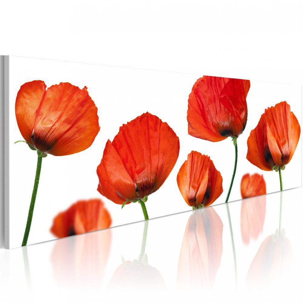 Obraz na plátně Bimago - Poppies on a white background 120x40 cm - GLIX DECO s.r.o.