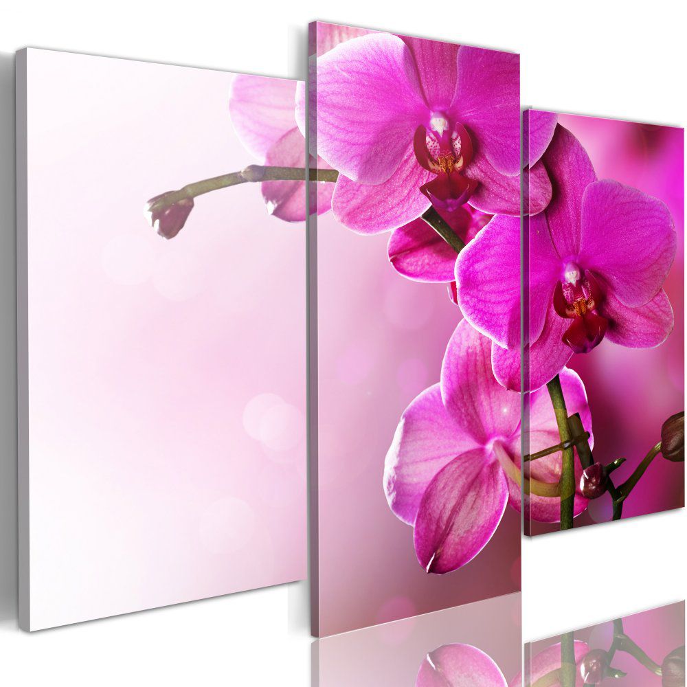 Obraz na plátně Bimago - Tmavě růžová orchidea 60x50 cm - GLIX DECO s.r.o.