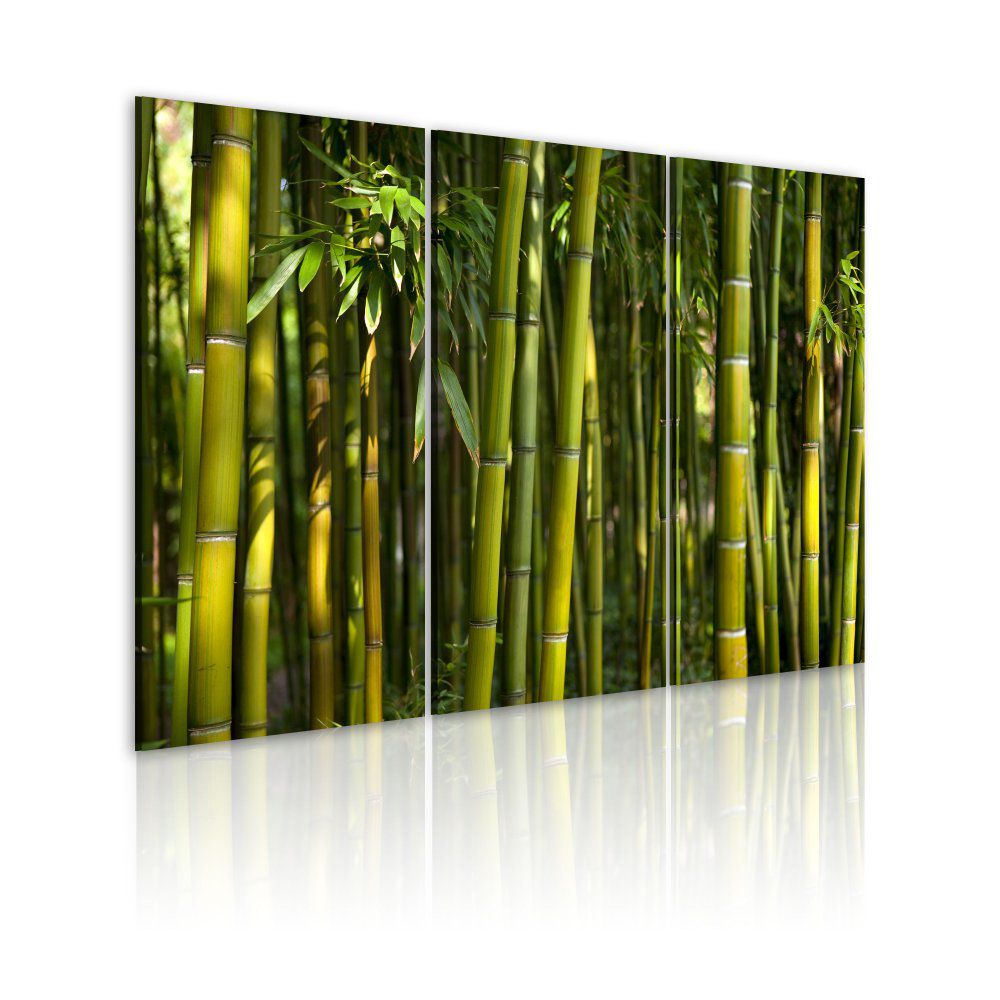 Obraz na plátně Bimago - Tropická zeleň bambusů 60x40 cm - GLIX DECO s.r.o.
