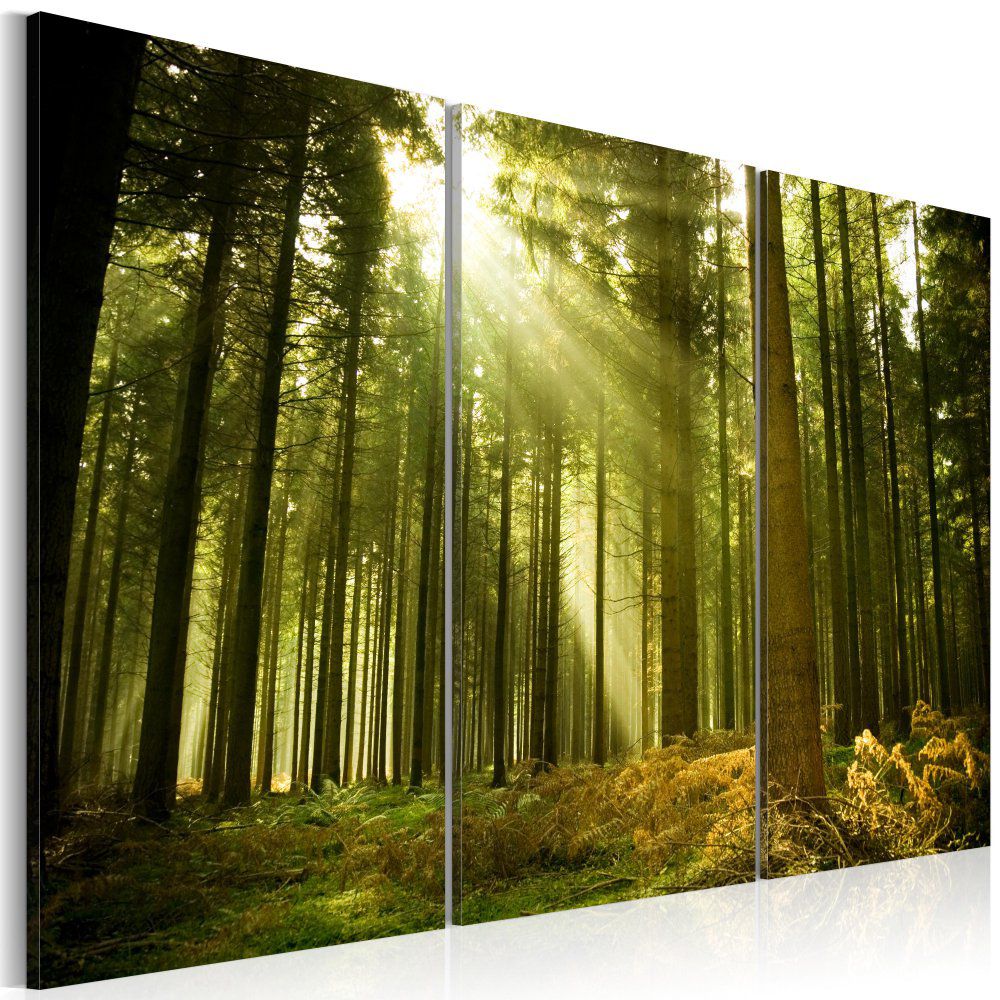 Obraz na plátně Bimago - Zelený les 60x40 cm - GLIX DECO s.r.o.