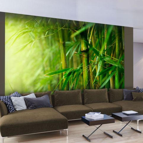 Fototapeta - džungle - bambus 200x154 cm - GLIX DECO s.r.o.
