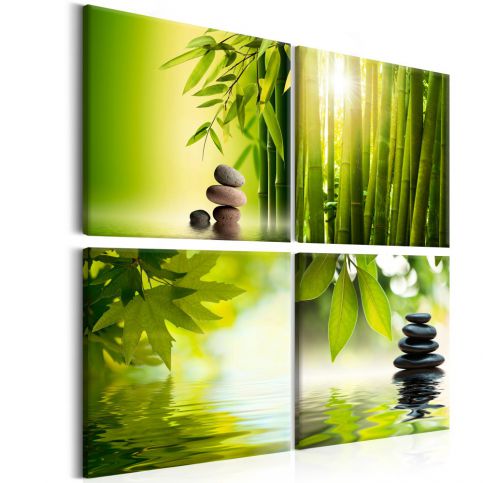 Obraz na plátně Bimago - Zelený klid 40x40 cm - GLIX DECO s.r.o.