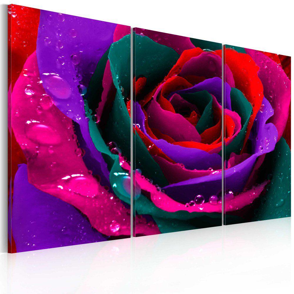 Obraz na plátně Bimago - Rainbow-hued rose 60x40 cm - GLIX DECO s.r.o.