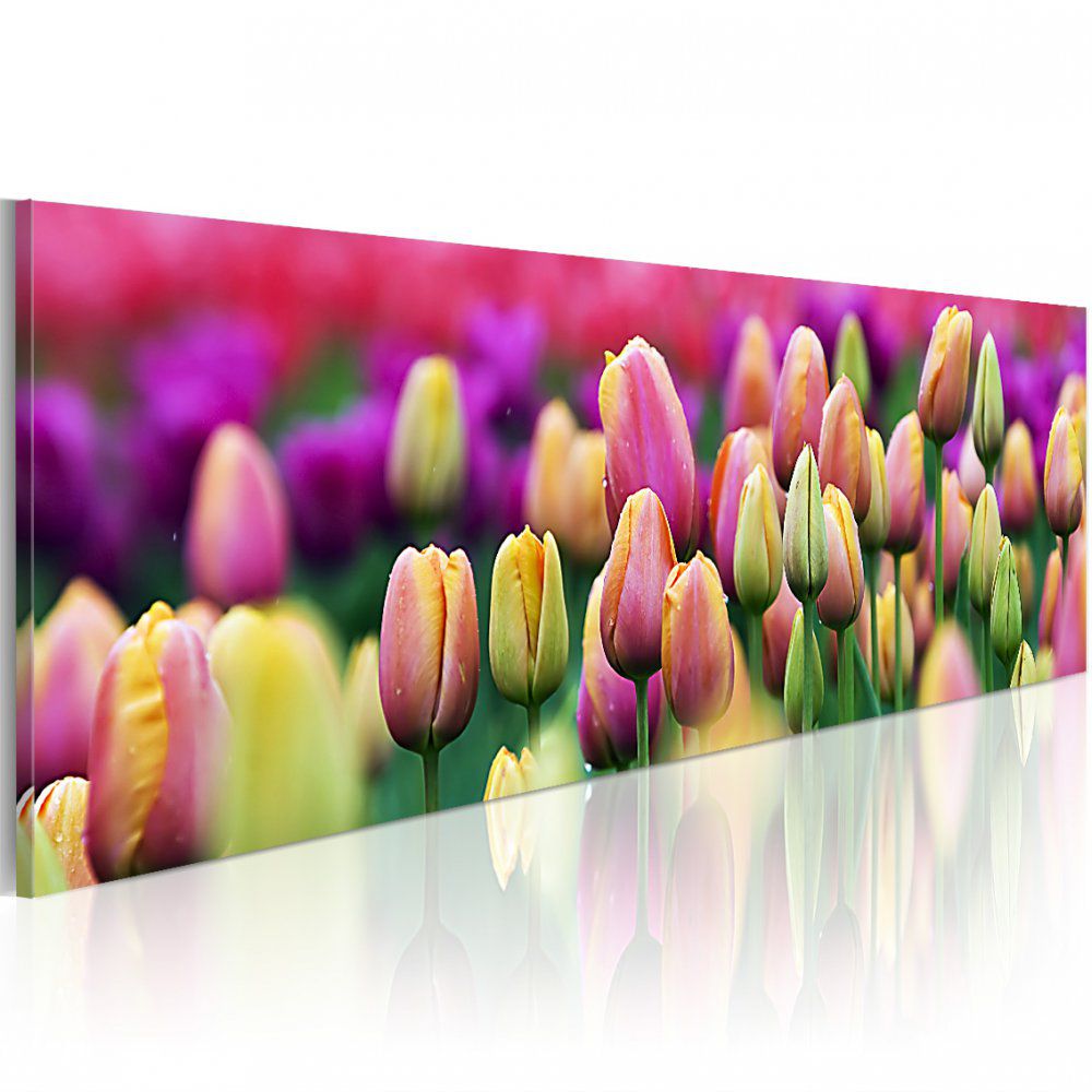 Obraz na plátně Bimago - Rainbow-hued tulips 120x40 cm - GLIX DECO s.r.o.