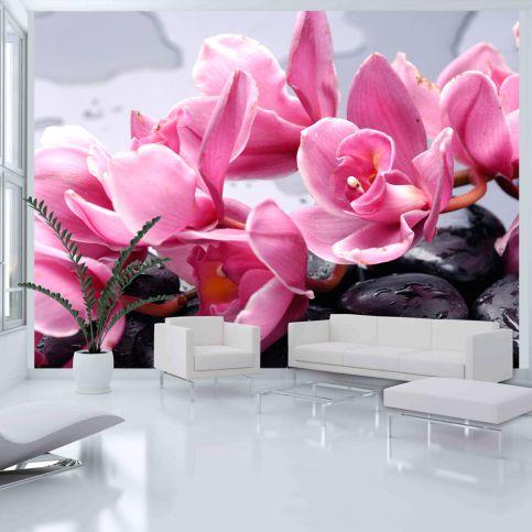 Bimago Fototapeta - Orchid flowers with zen stones 200x154 cm - GLIX DECO s.r.o.