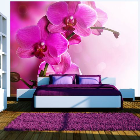 Bimago Fototapeta - Pink orchid 200x154 cm - GLIX DECO s.r.o.