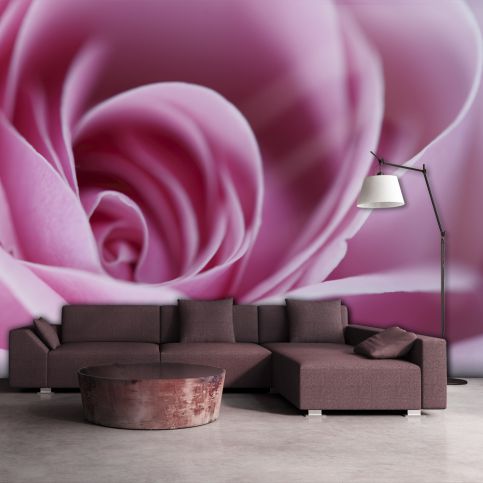 Bimago Fototapeta - Pink rose 200x154 cm - GLIX DECO s.r.o.