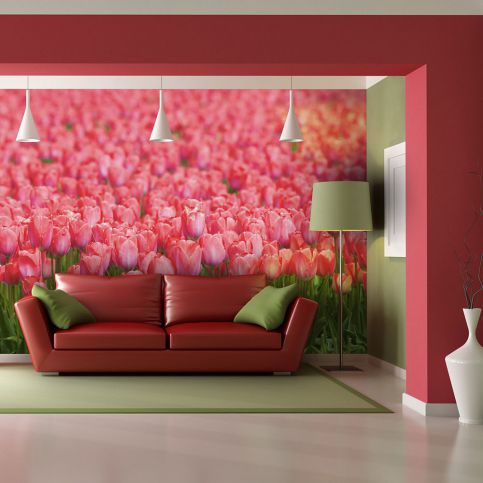 Bimago Fototapeta - Spring meadow - fresh pink tulips 200x154 cm - GLIX DECO s.r.o.
