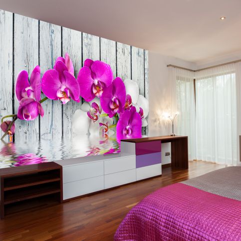 Bimago Fototapeta - Violet orchids with water reflexion 350x270  cm - GLIX DECO s.r.o.