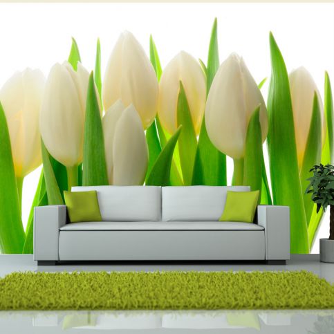 Bimago Fototapeta - White tulips 200x154 cm - GLIX DECO s.r.o.