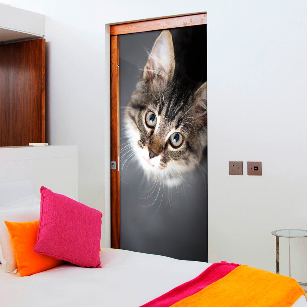 Fototapeta na dveře Bimago - Charming Kitten + lepidlo zdarma 100x210 cm - GLIX DECO s.r.o.